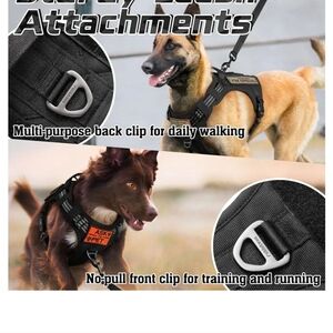 Rabbitgoo XL dog harness and 5ft leash